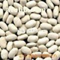 White Kidney Bean PE