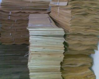 SKATEBOARD MAPLE VENEER