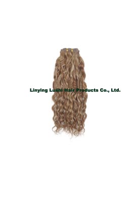 French curl human hair weft