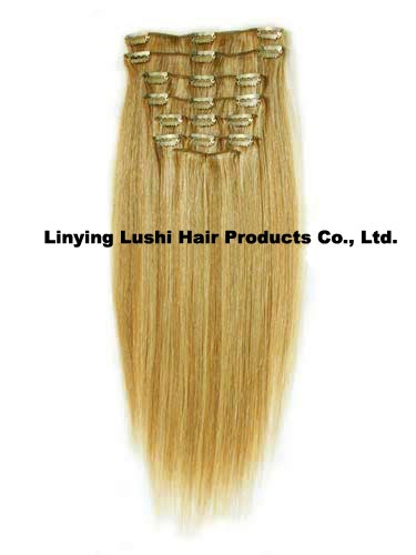 Clip in hair extension