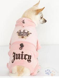 pet clothes