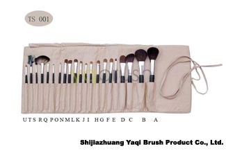 cosmetic brush set