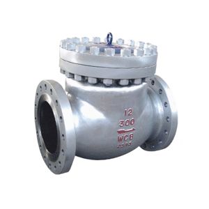Swing Check Valve