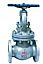 Cast Steel Globe Valve