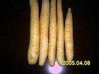 wild yam extract