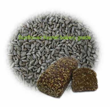 Sunflower seed kernel bakery grade