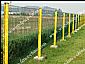 pvc coated wire mesh fence