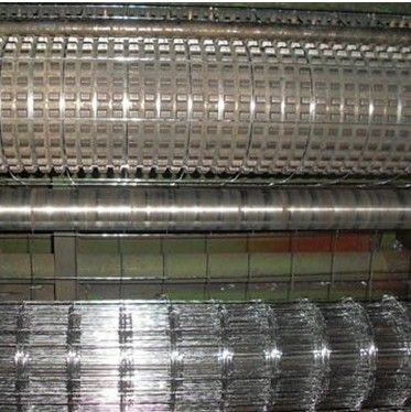 welded wire mesh