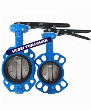 Butterfly Valves