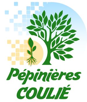 Walnuts and Chestnuts trees Machinery, and dry fruits 