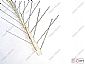 anti bird spike HC1102-W4
