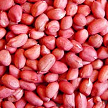 Peanut kernels