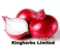 Kingherbs offer China Allium Cepa Extract