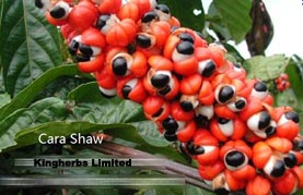 Supply China Guarana seed extract /Guaranine