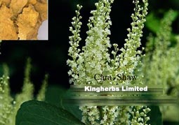 Kingherbs offer China Resveratrol
