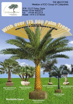 The mile stone Nursery