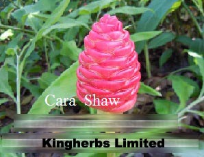 Kingherbs offer China Zerumbone