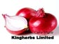 Kingherbs offer China Allium Cepa Extract