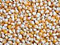 Yellow Maize