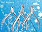 Professional Cuticle Nippers
