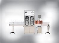 Automatic liquid quantitative filling line two-headed