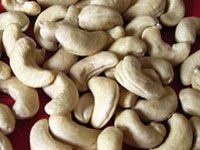 cashew nut