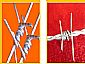 Galvanized Barbed Wire