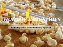 Pan Feeding System,broiler pan feeding equipment supplier China