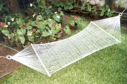 Hammock