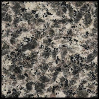 WG027 Leopard Skin Flower 