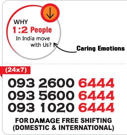 Sea Air Cargo & Logistics