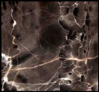 WM011A Mystique Brown 