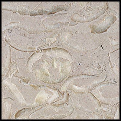 WM014 Jinqian Flower 