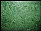WM013 Green Marble 