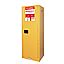 Flammable Cabinet22Gal/83L,SYSBEL