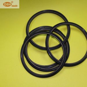 Teflon Rod Step Seal