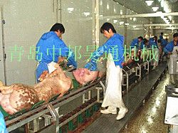 Pre-peeling Conveyor