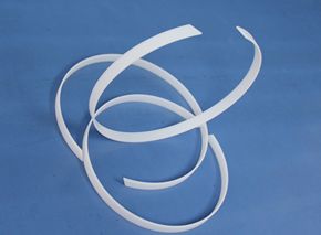 Resin fabric ptfe guide ring