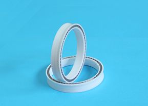 Spring Energized Seal for SpindlePTA