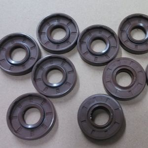 Hydraulic Cylinder TC Oil Seal Shaft Sealing for Crane