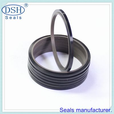 PTFE hydraulic cylinder shaft seal-DSF