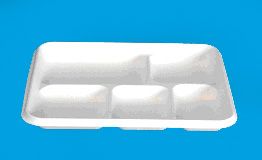 Five compartment rectangular tray