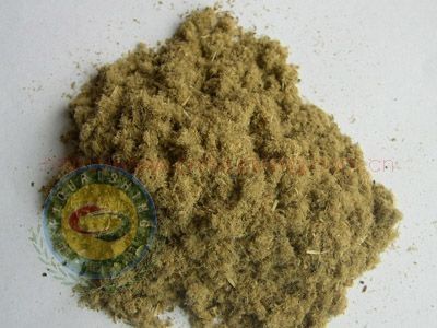 fishmeal and corn gluten meal