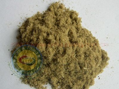 fishmeal and corn gluten meal