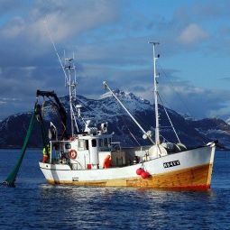 General fishing & freight forwarding 