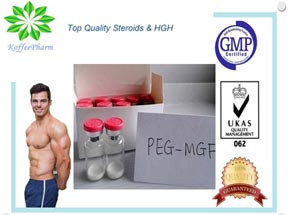 pentadecapeptide BPC 157