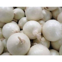 WHITE ONION