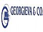 Georgieva&co