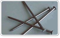 Common Round Wire Nails