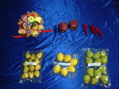 Artificial Fruit